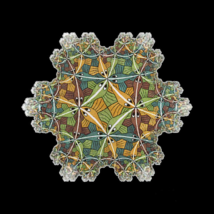 Escher mapped to Koch snowflake